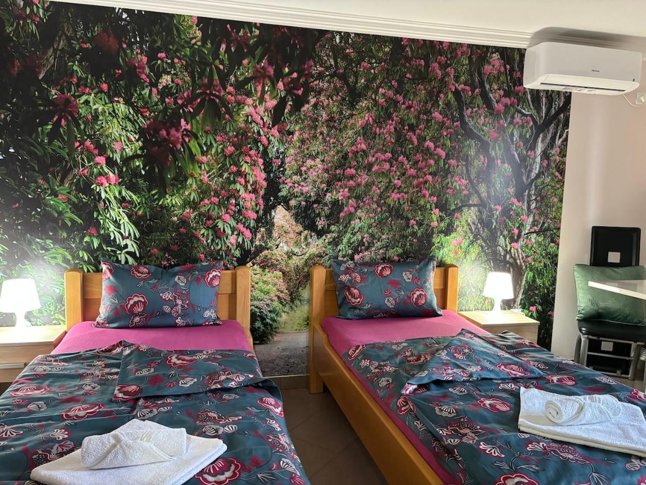 Apartmani "Marija" 哥鲁拜克 外观 照片